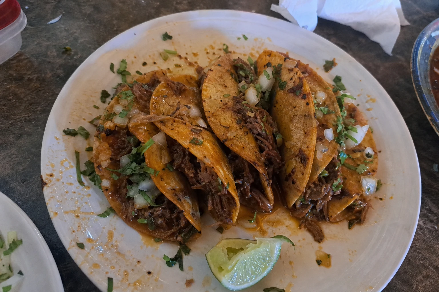 Close-up of shredded beef birria in a taco with broth