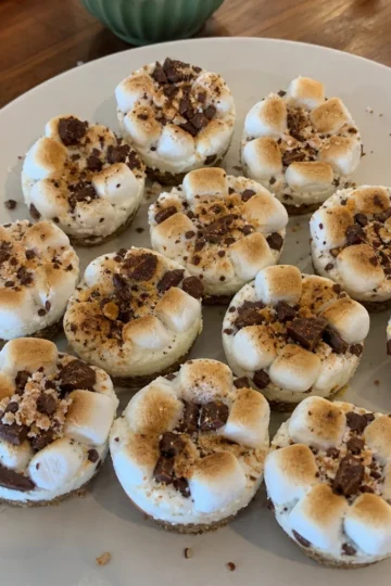 S’mores Frozen Cheesecake Bites