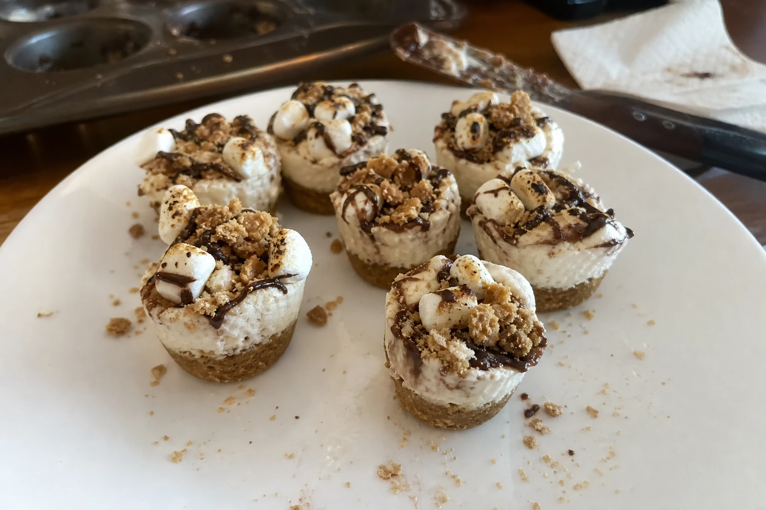 S’mores Frozen Cheesecake Bites